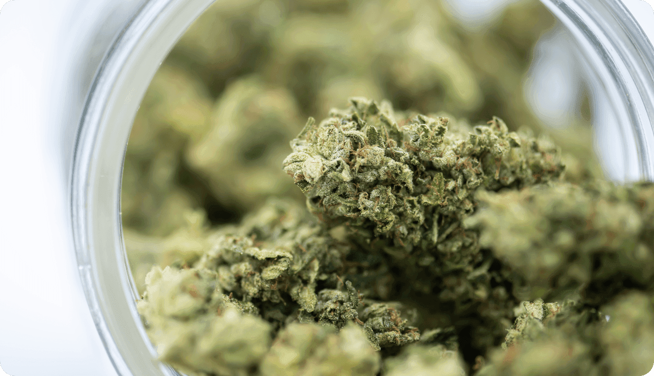 Glas mit Cannabisblüten