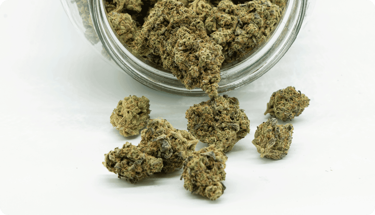 Glas mit rausfallenden Cannabisblüten