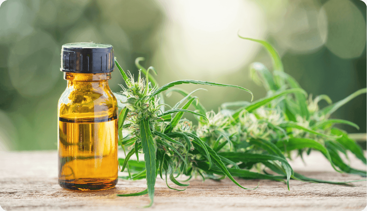 Flasche mit Hanfextrakt und grünen Hanfblättern im Hintergrund.